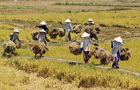 Hotspot Matrix và Đã tìm thấy chiếc quần